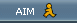 AIM �����